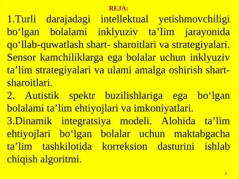 Turli darajadagi intellektual yetishmovchiligi bo‘lgan bolalar uchun inklyuziv ta’lim strategiyalari 2