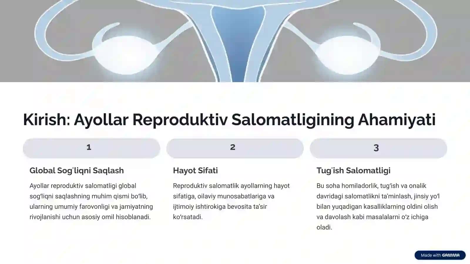 Ayollar Jinsiy Aʼzolari: Anatomiyasi va Fiziologiyasi 2