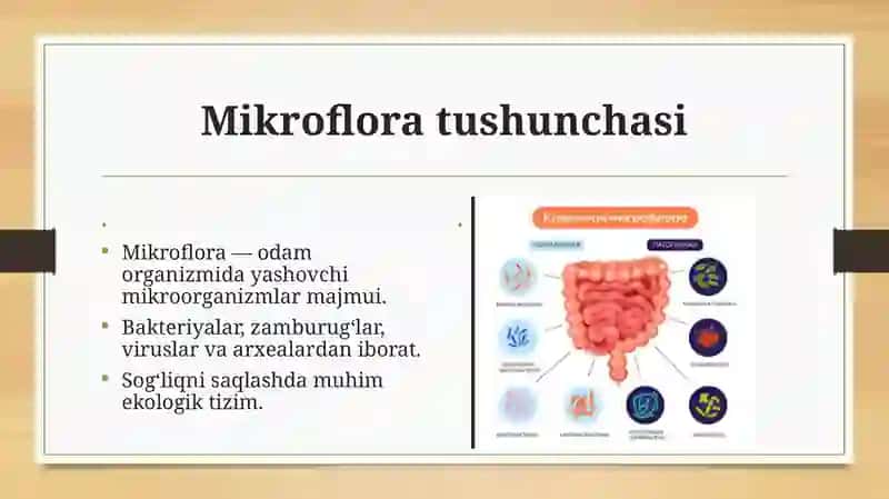 Mikroflora tushunchasi 2