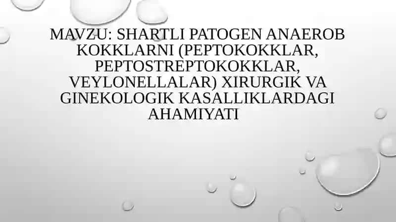 Anaerobkokklar 2