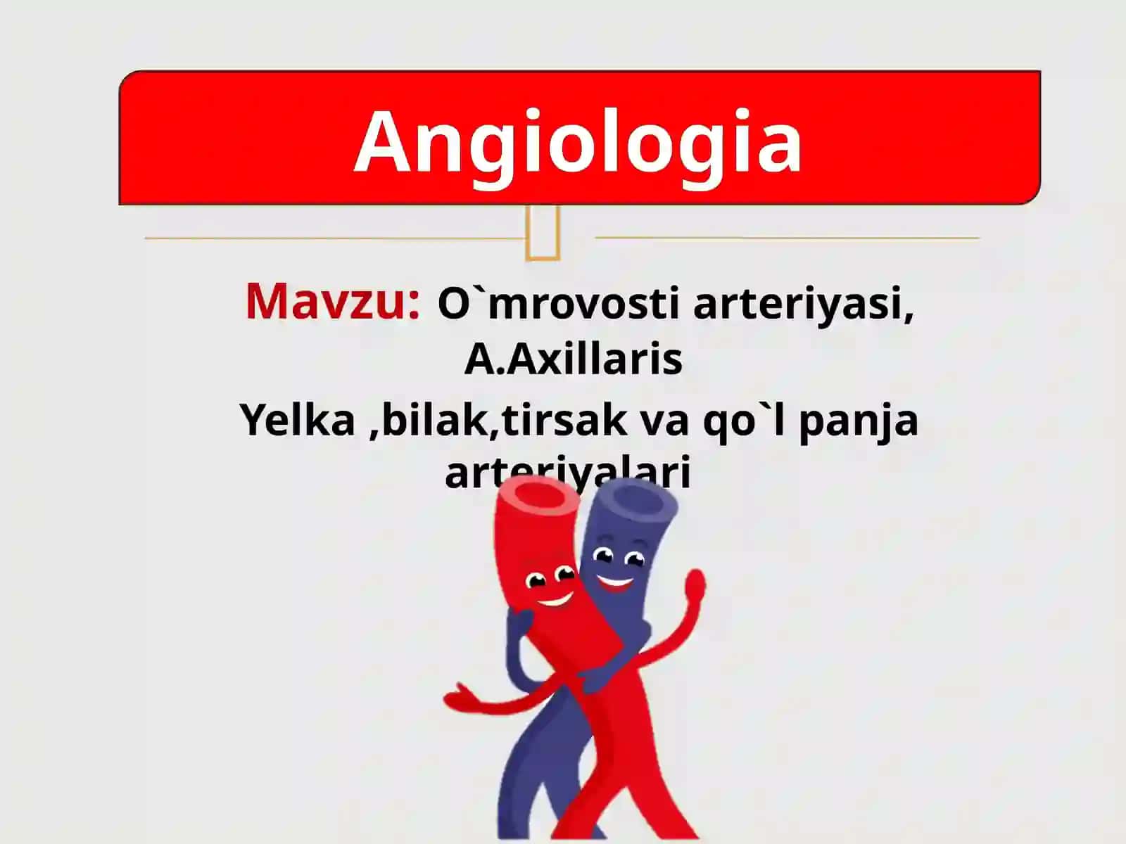qoʻl arteriyalari normal anatomiyasi 2