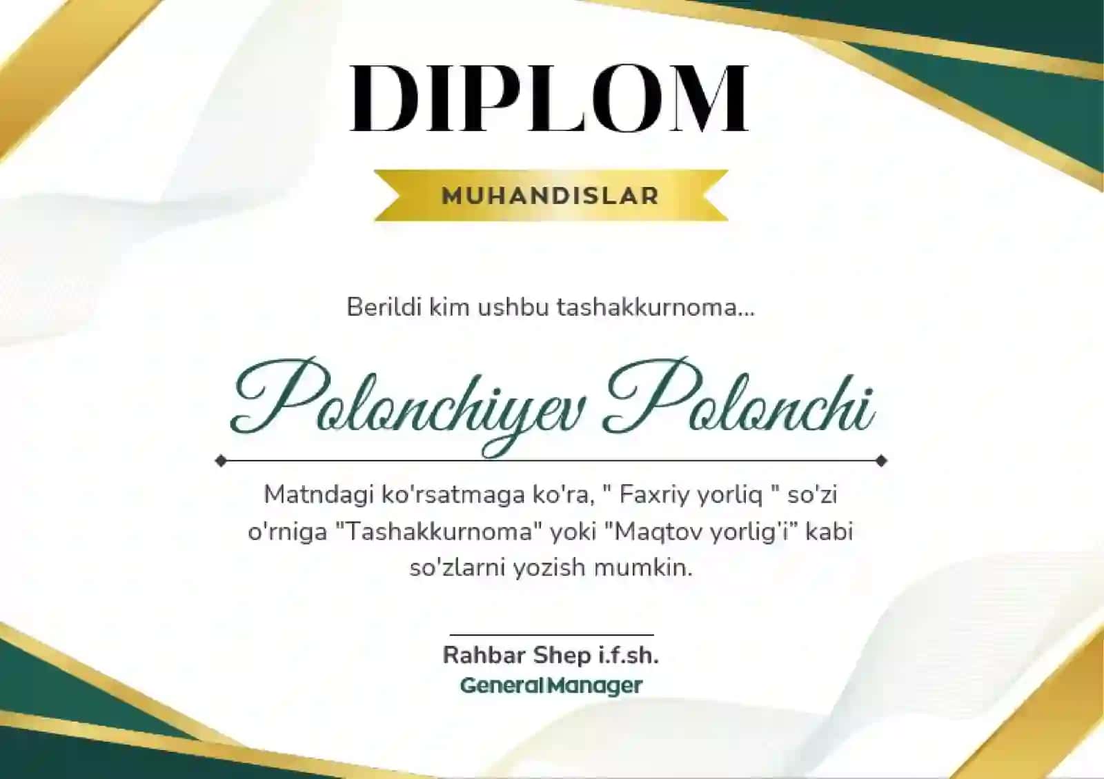 DIPLOM 2