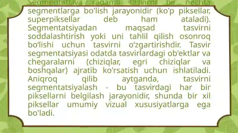 Rasmlar segmentatsiyalash vazifalari 2