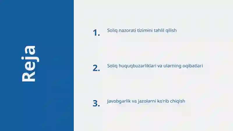 Soliq nazorati tizimi 2