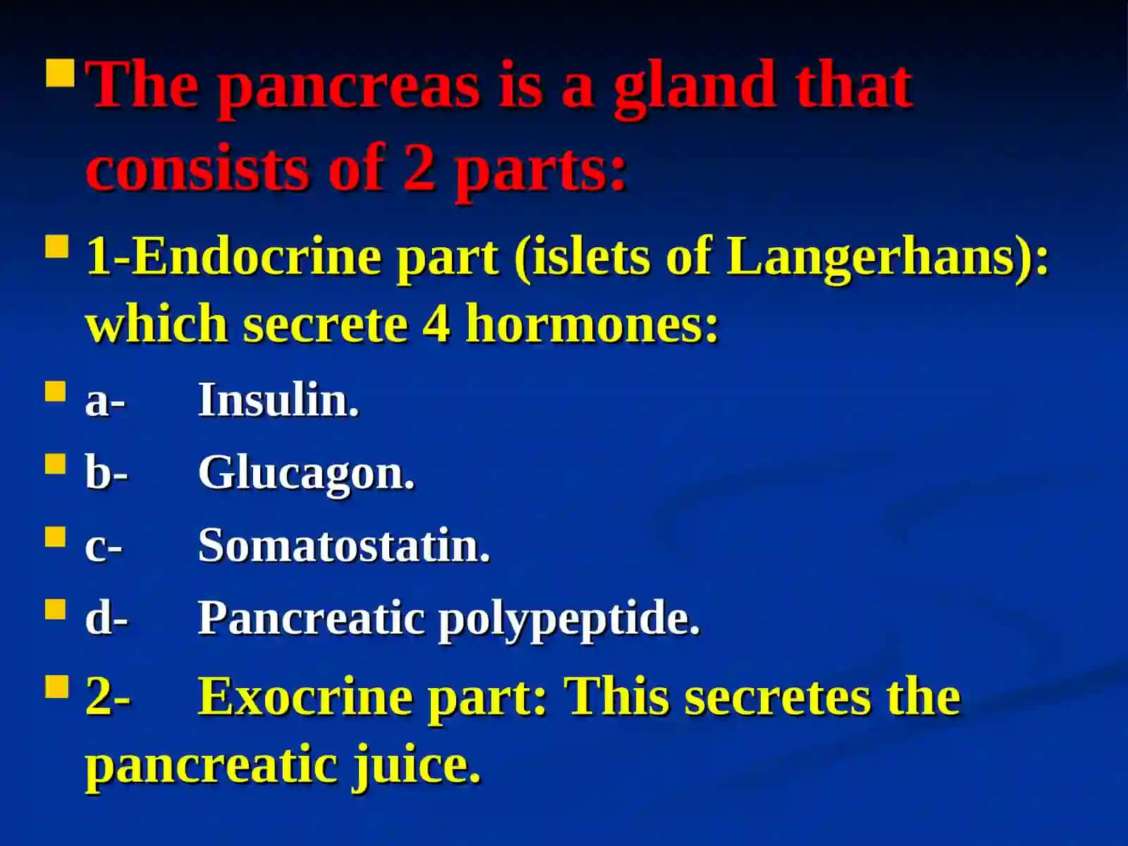 The pancreas 2