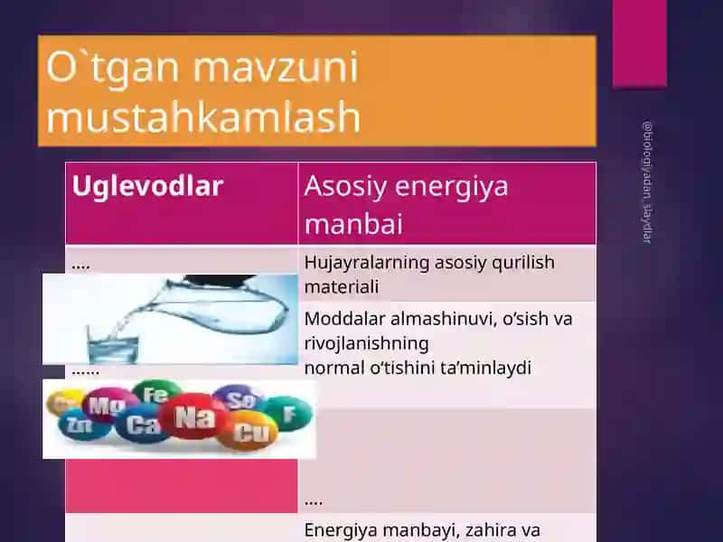 BIOLOGIYADAN TAQDIMOTLAR 2