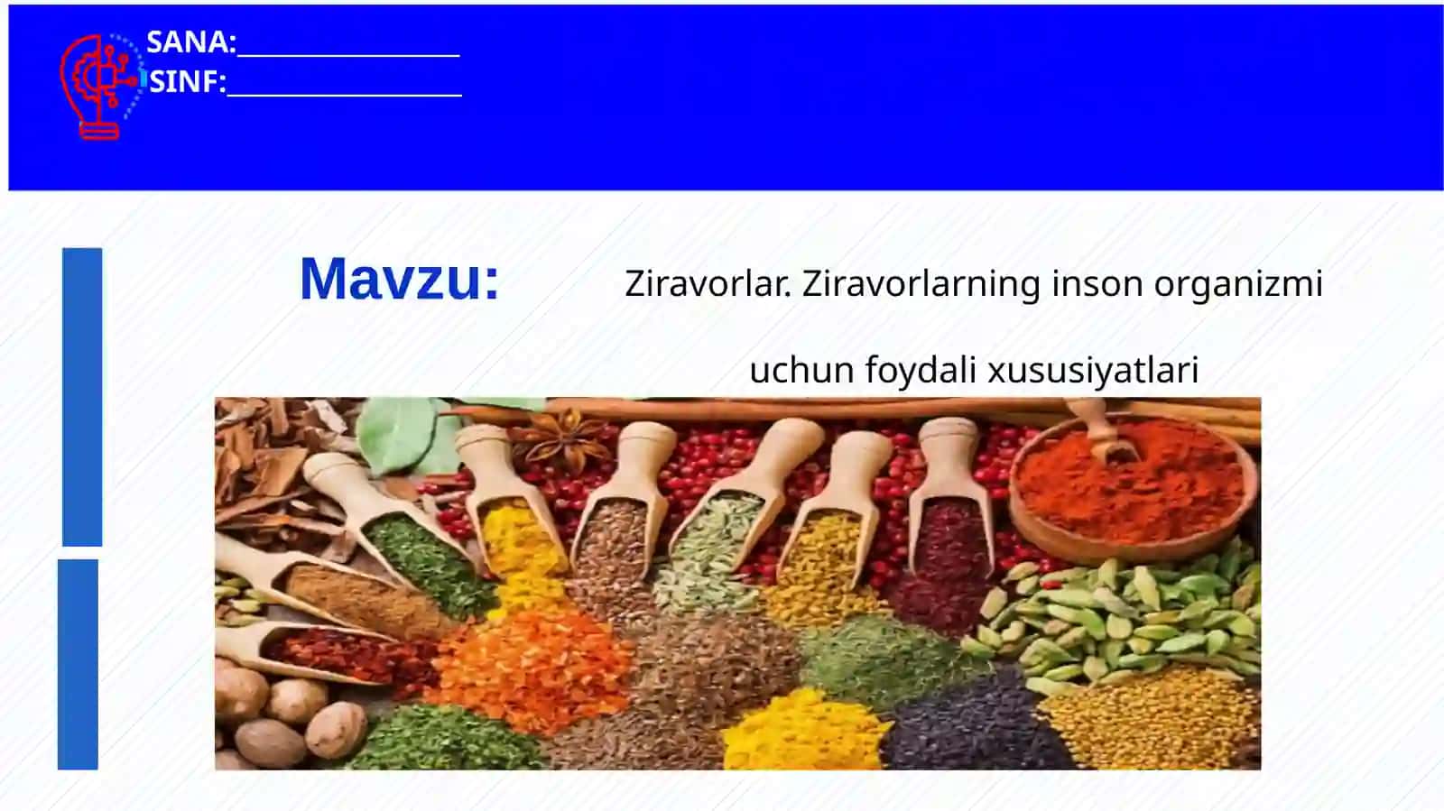 Ziravorlar. Ziravorlarning inson organizmi uchun foydali xususiyatlari 2