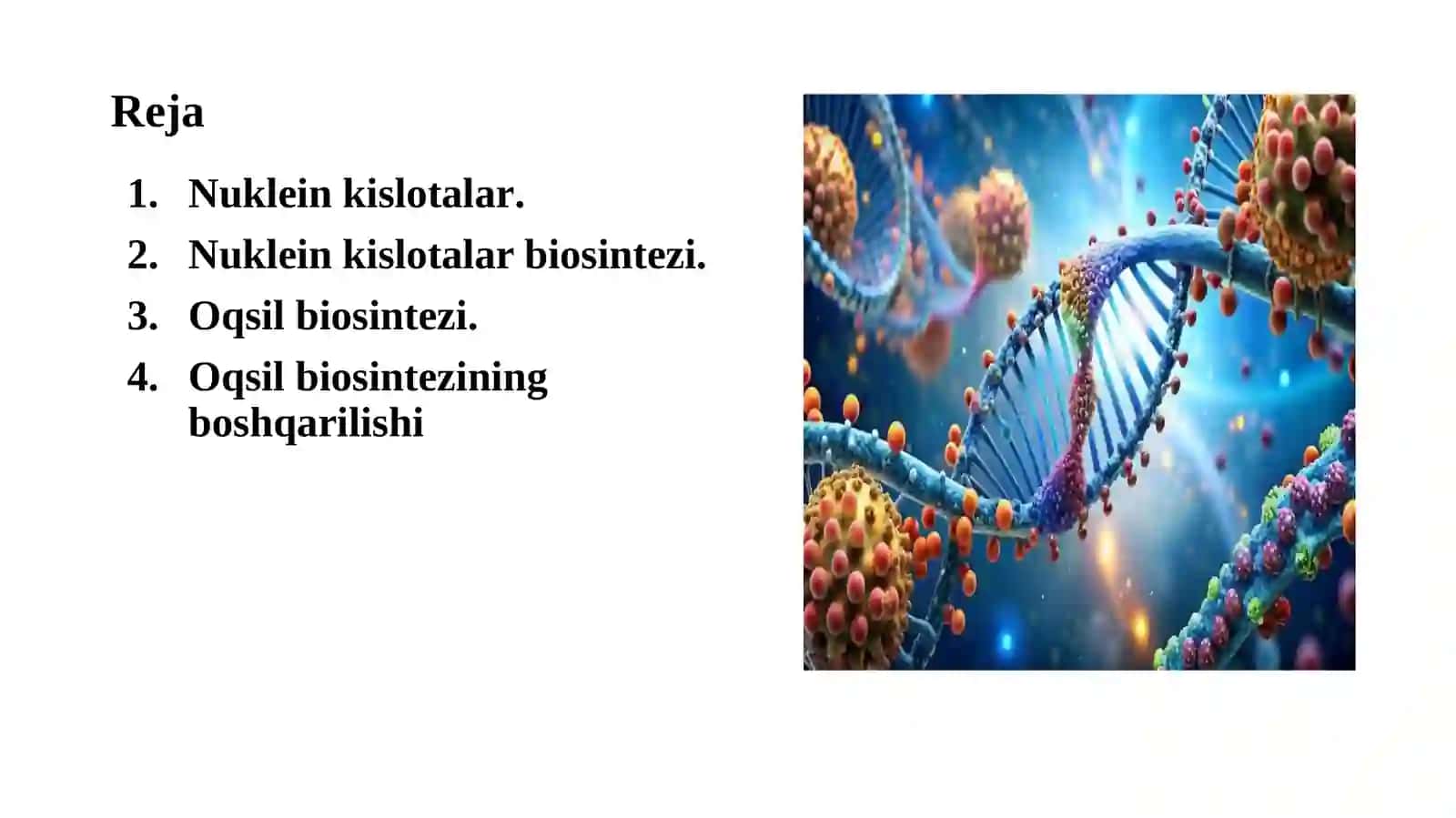 DNK 2