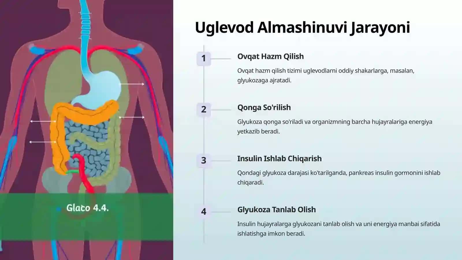 Uglevod Almashinuvi Boshqarilishini Buzilishi 2