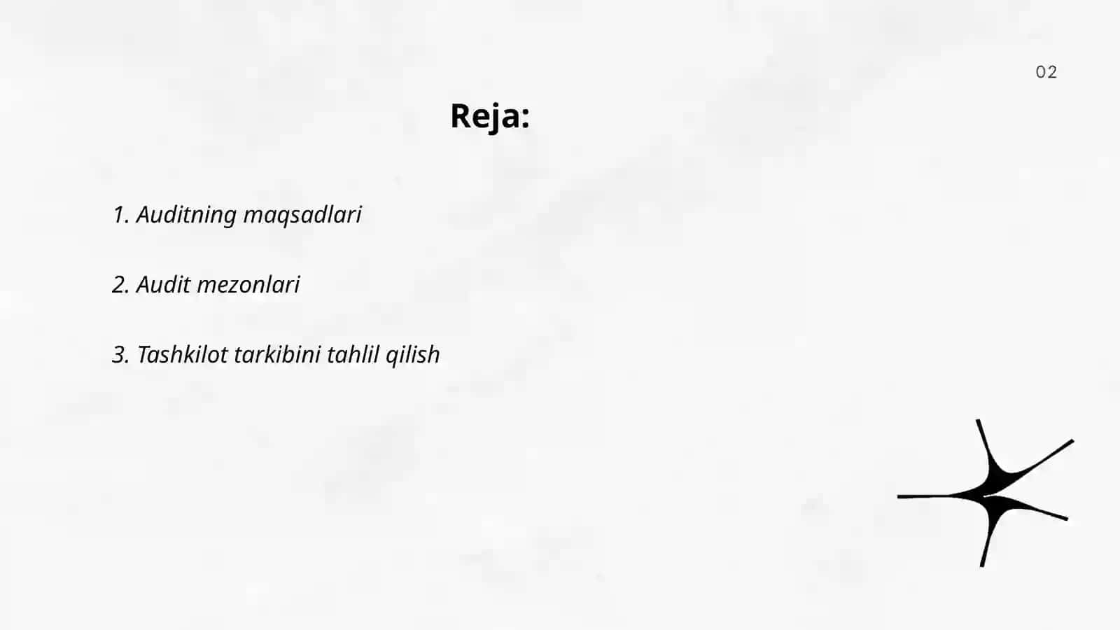 Auditni rejalashtirish 2