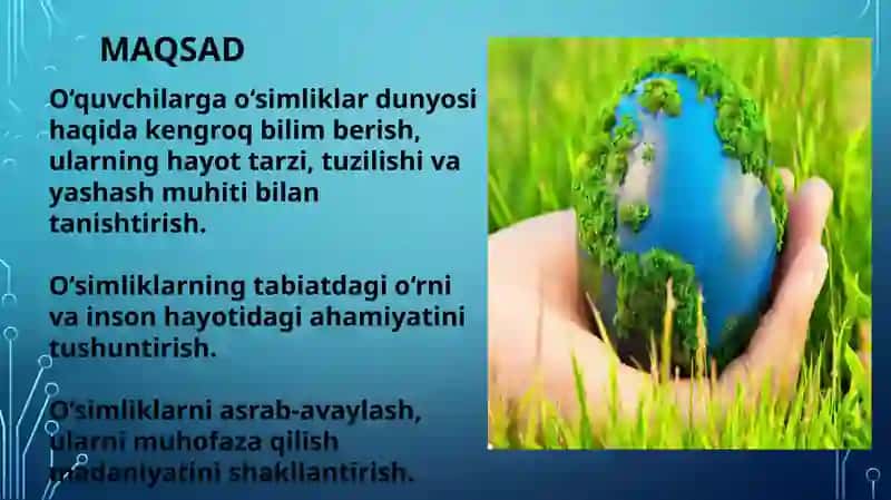 O‘simliklar dunyosi va ularning hayot tarzi mavzusida tanishing 2