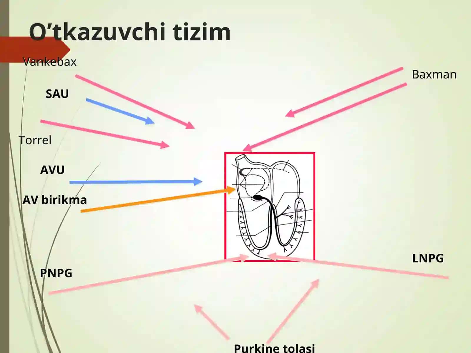 Bolalardaaritmiya 2