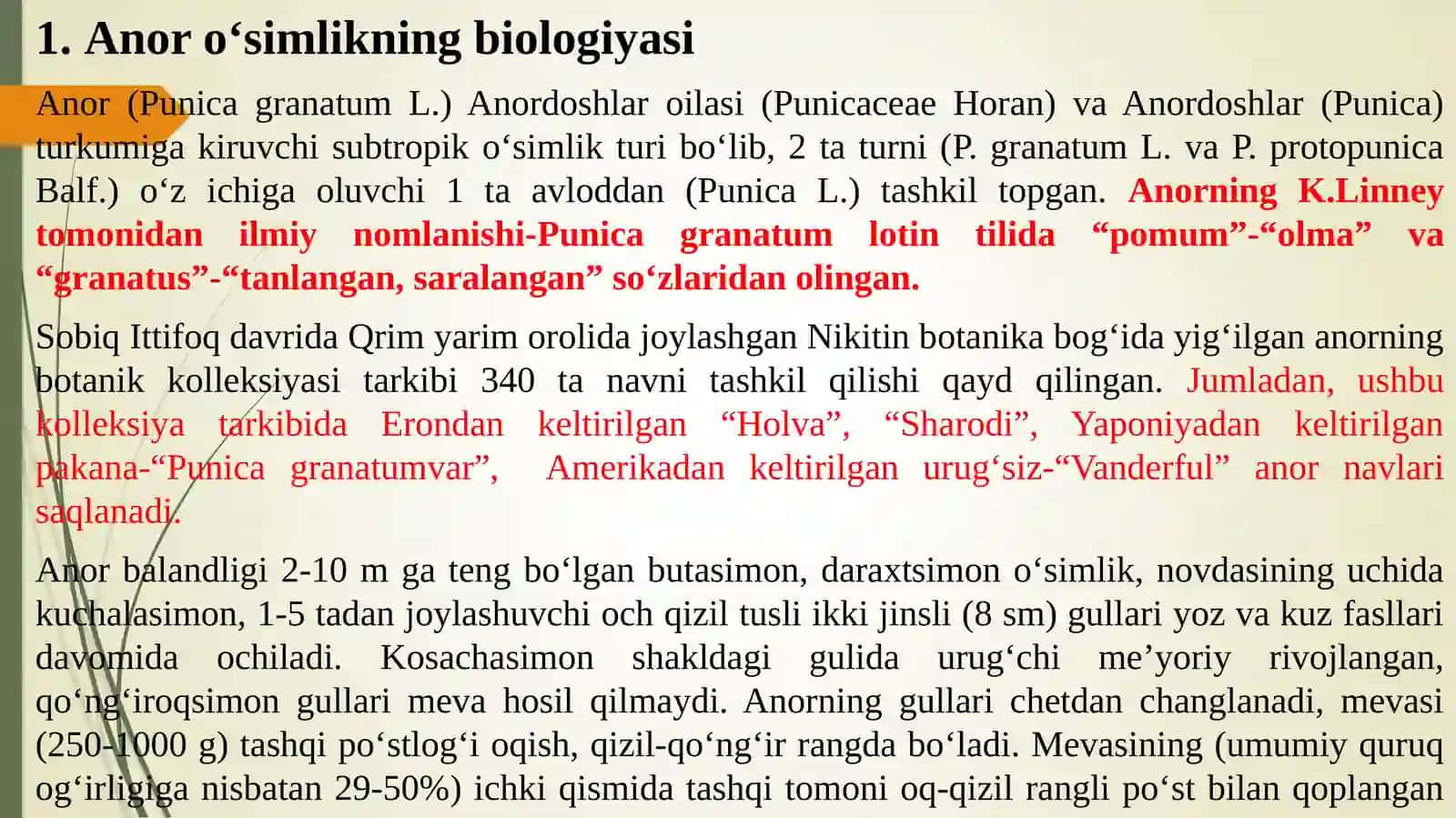 Anor o‘simlikning biologiyasi va xalq xo‘jaligidagi ahamiyati 2