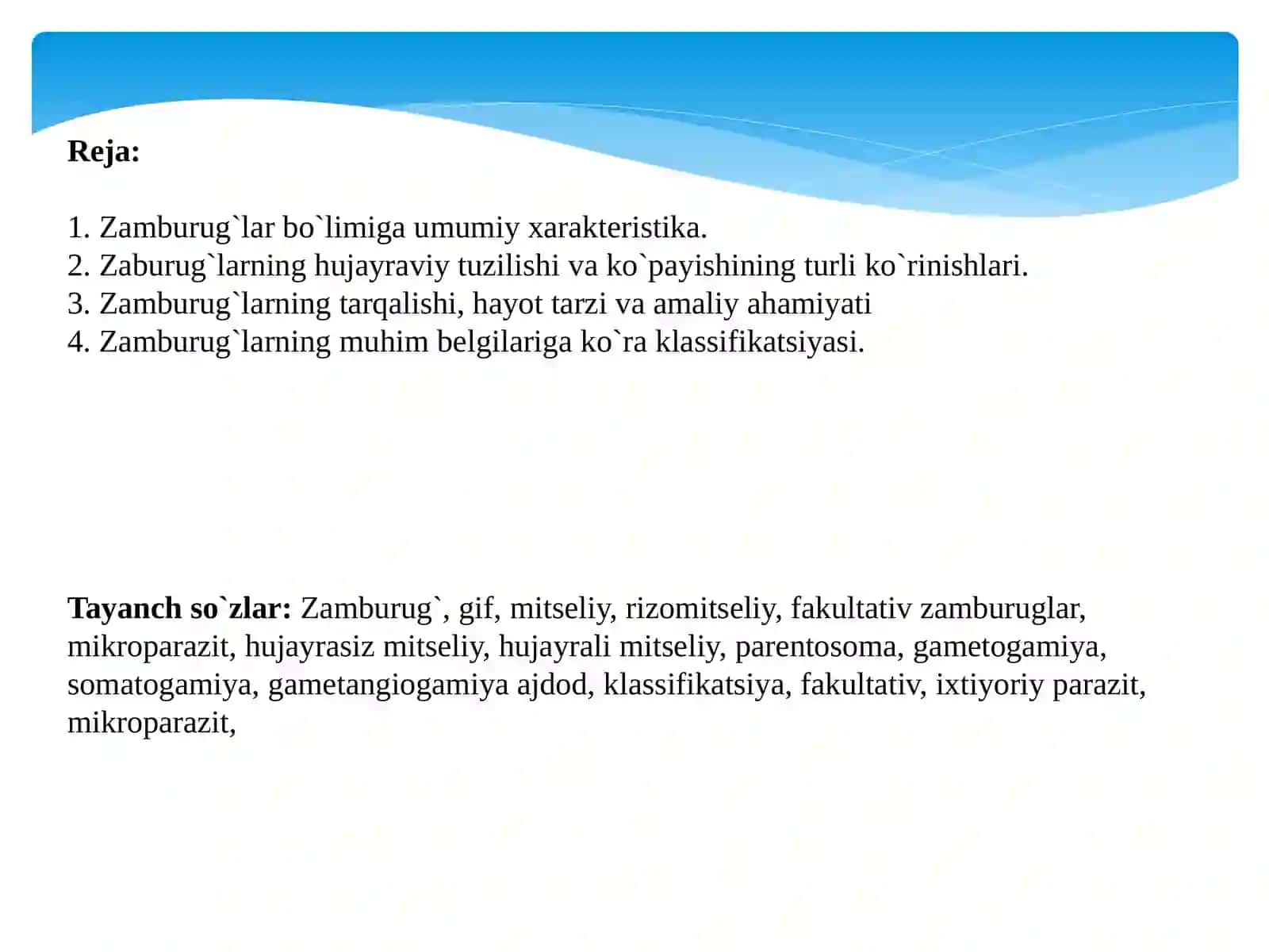 Zamburug`lar bo`limi (Mycophyta, Funqi) 2