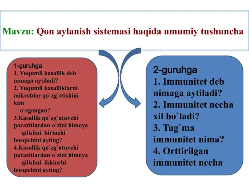 Qon aylanish sistemasi 2