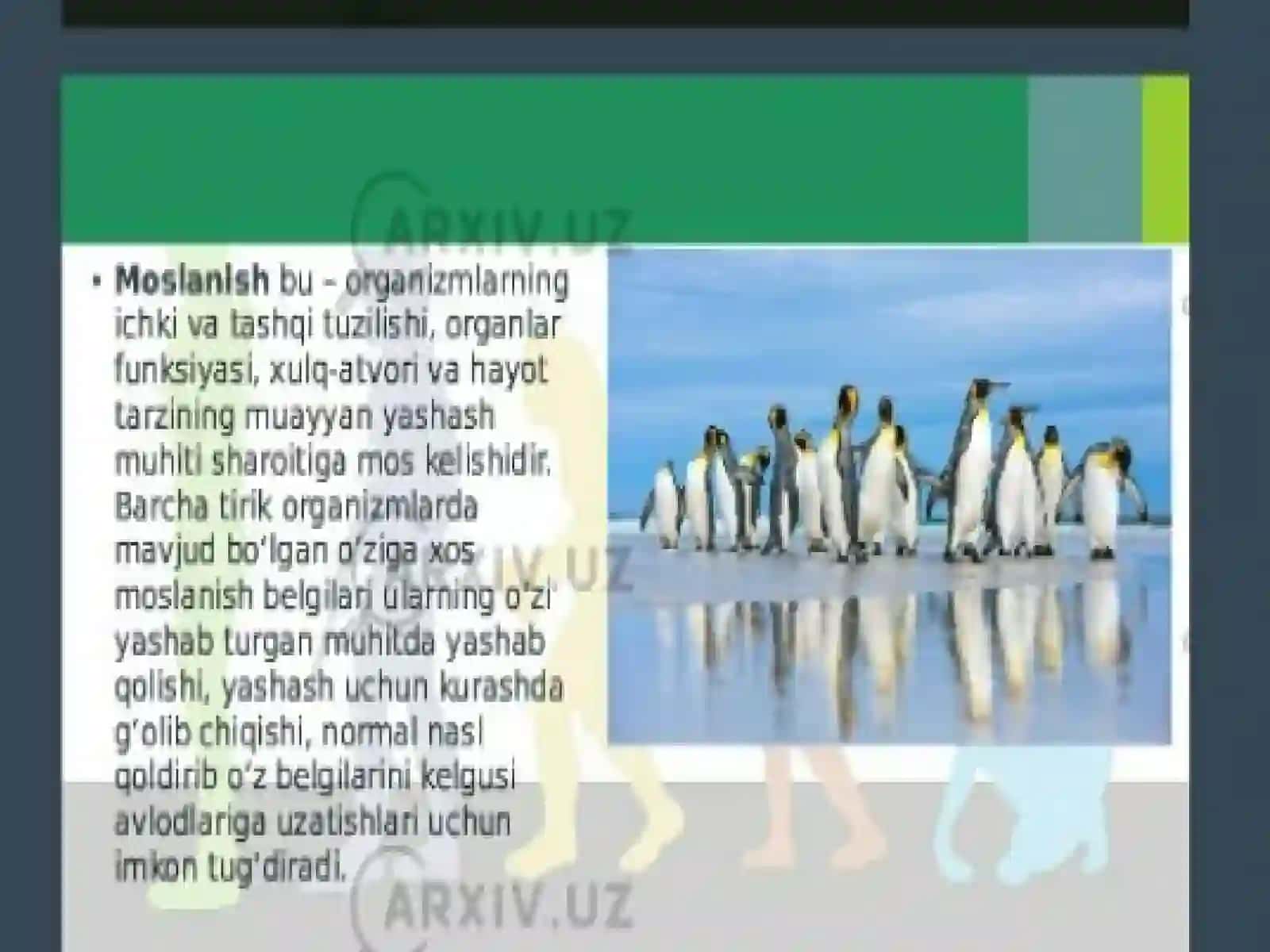 ORGANIZMLARNING MOSLANISHLARI 2