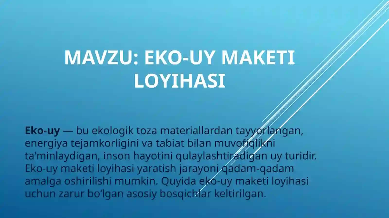Eko-uy maket loyihasi 2