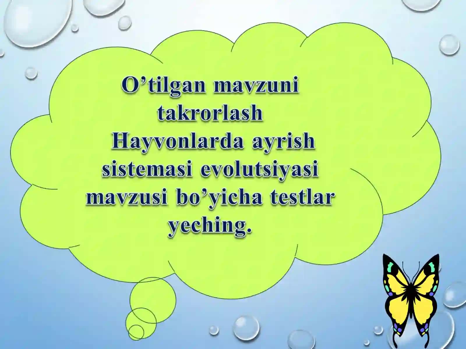 Hayvonlar jinsiy organlarining evolyutsiyasi 2