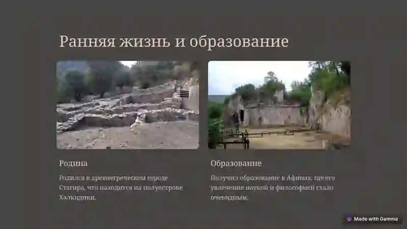 Введение в жизнь и творчество Аристотеля 2