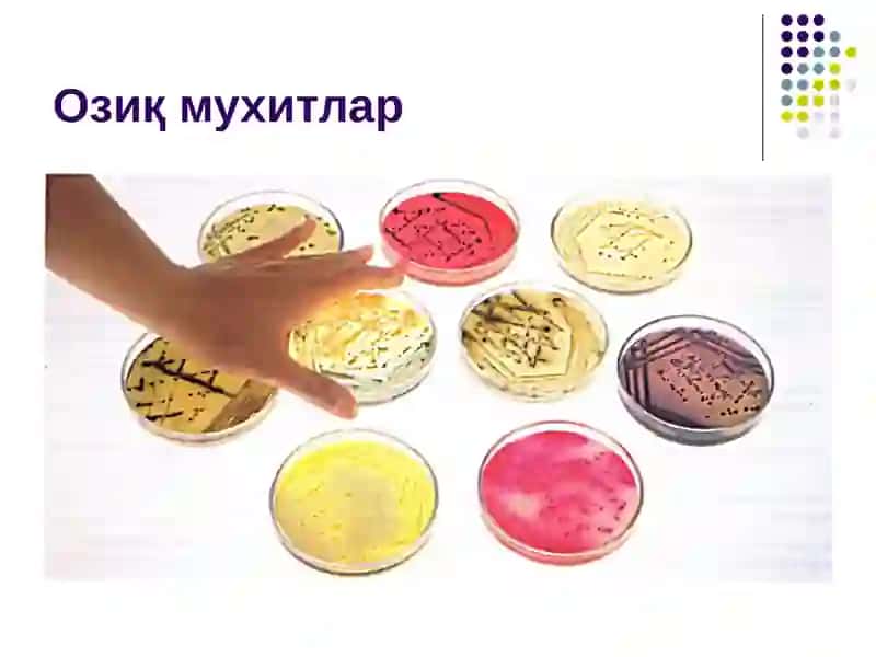 Озиқ мухитлар 2