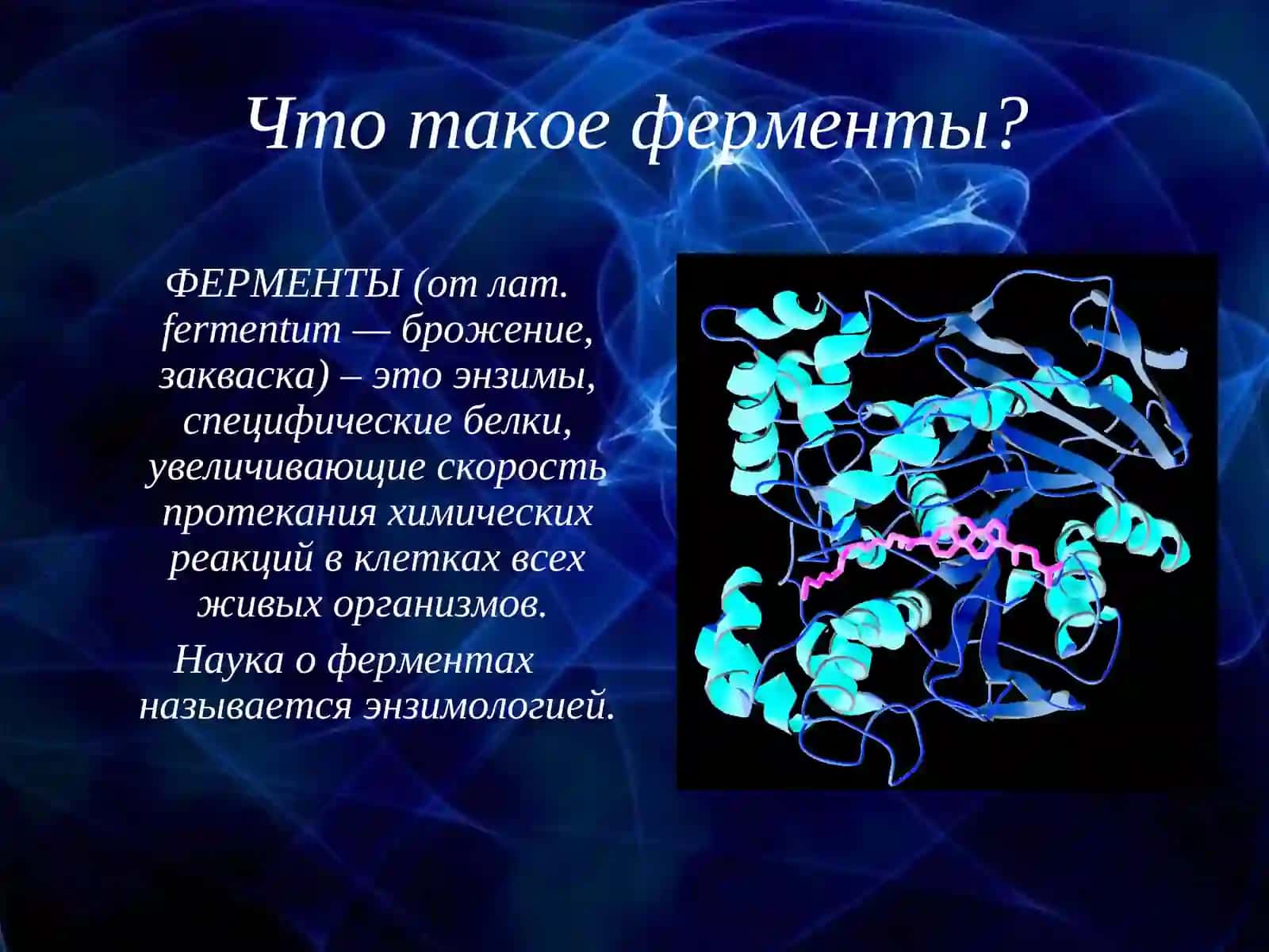 Ферменты 2