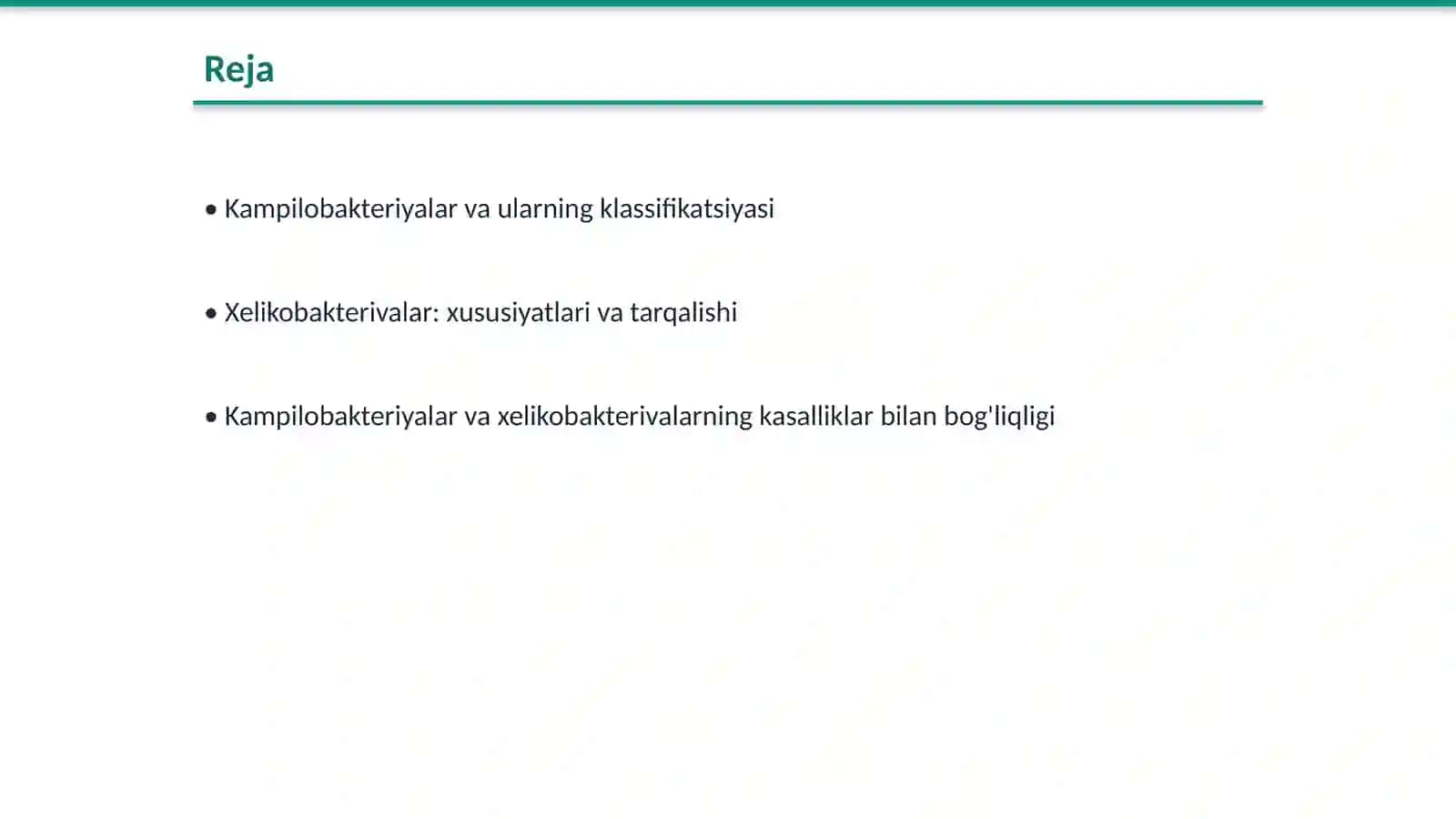 Kampilobakteriyalar, xelikobakterivalar va amaliyotdagi ahamiyati 2