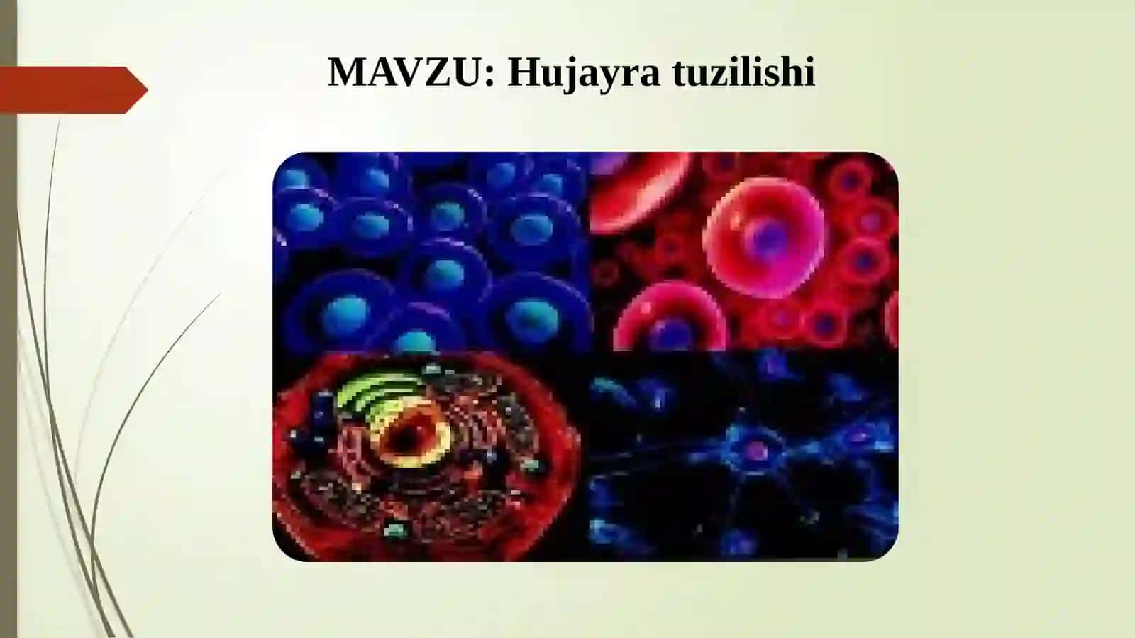 Innavatsion fanta’lim vazirligi Ko’ptarmoqli Tibbiyot Texnikumi 2