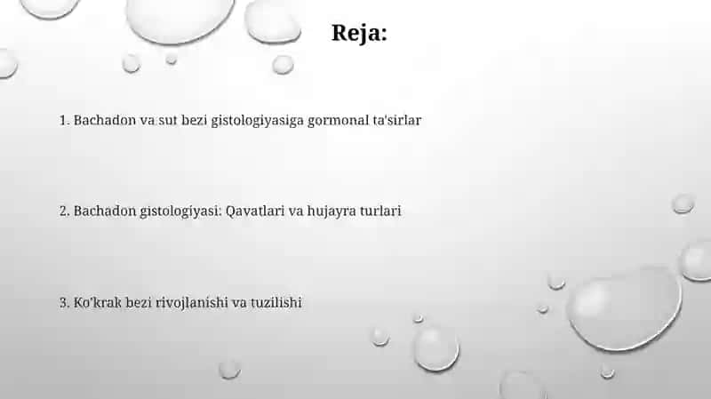 Bachadon va Sut bezlari gistologiyasi 2