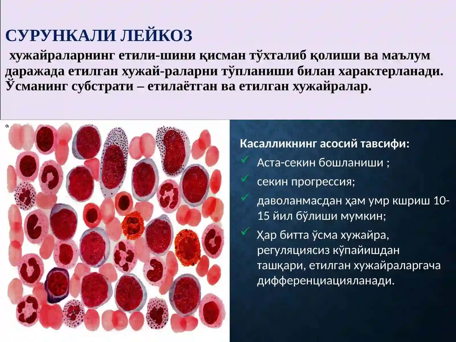 СУРУНКАЛИ ЛЕЙКОЗ 2
