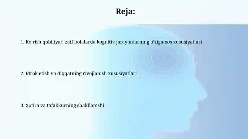 Ko'rish nuqsoniga ega bolalar bilish jarayonlarining o'ziga xosligi 2