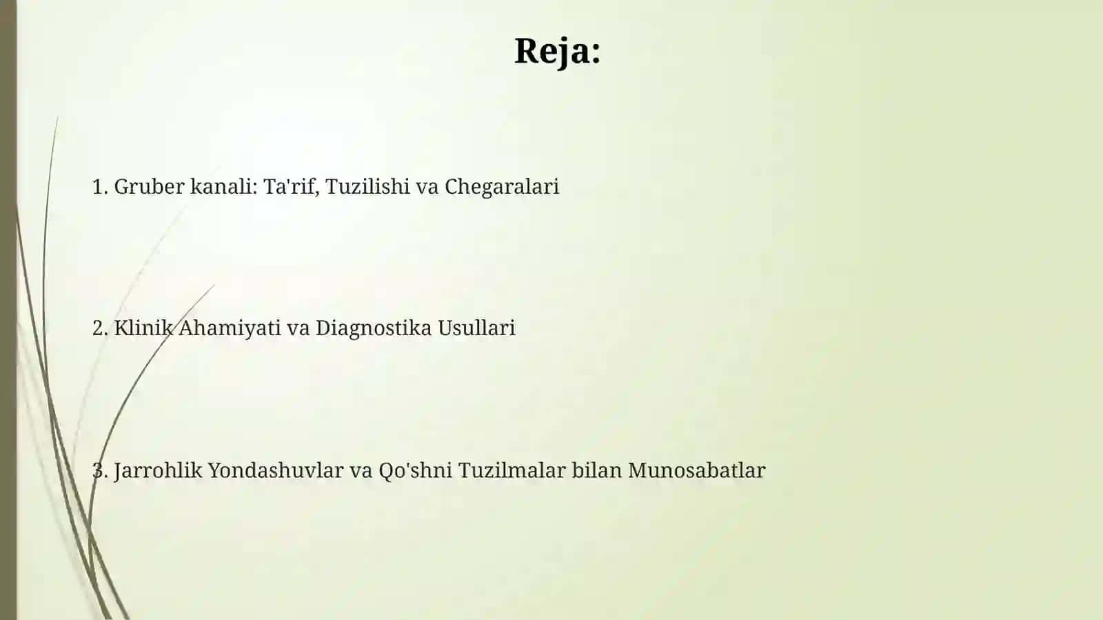 Тақим-болдир (Грубер) канали топографик анатомияси 2