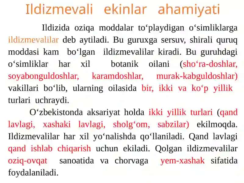 Ildizmevalilar ahamiyati 2