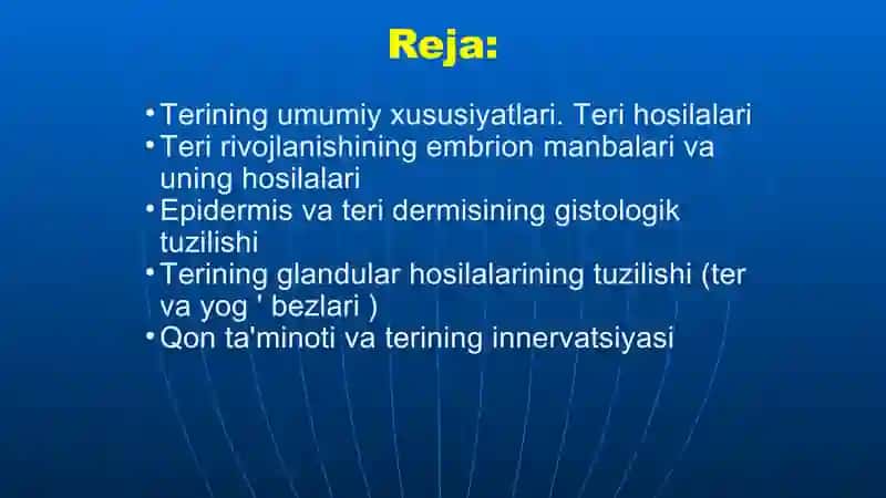 Teri va uning hosilalari / ppt 2