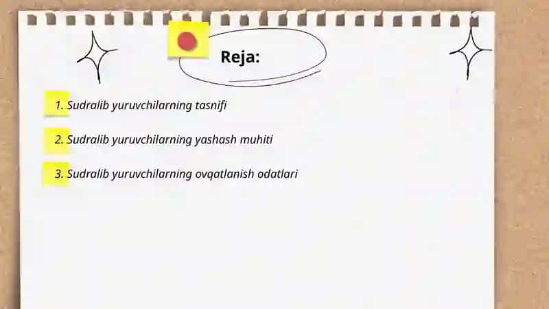 Sudralib yuruvchilar sinfi 2
