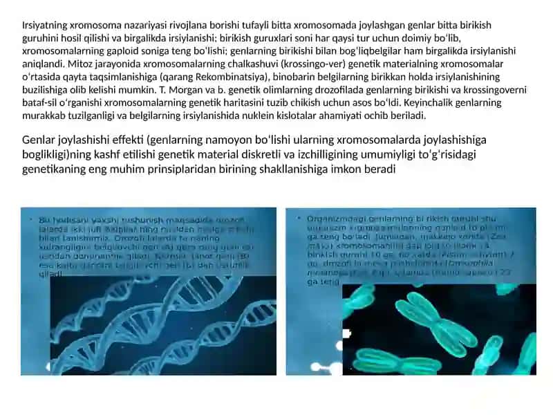 Irsiyatning xromosoma nazariyasi. T.G.Morgan genlarning  birikish holati,krossingover.Belgilarning jinsga birikkan holda irsiylanishi 2