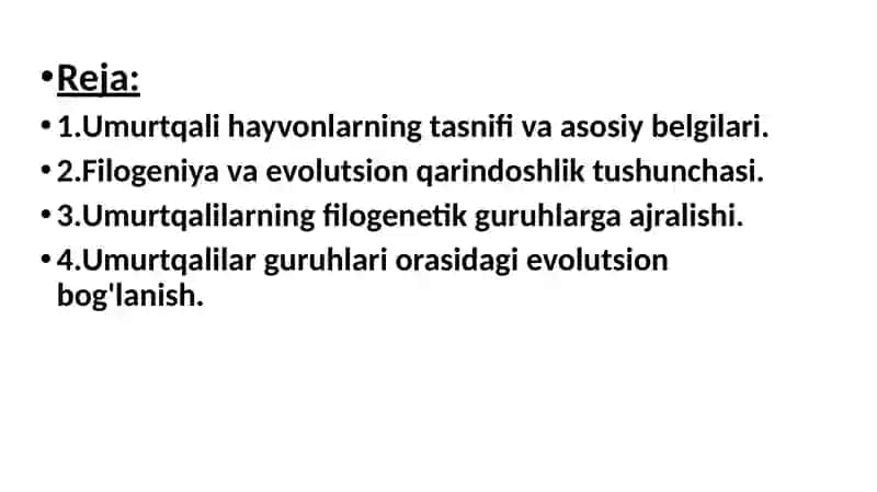 UMURTQALI HAYVONLARNI BIR- BIRI BILAN FILOGENETIK BOG'LANISHI 2