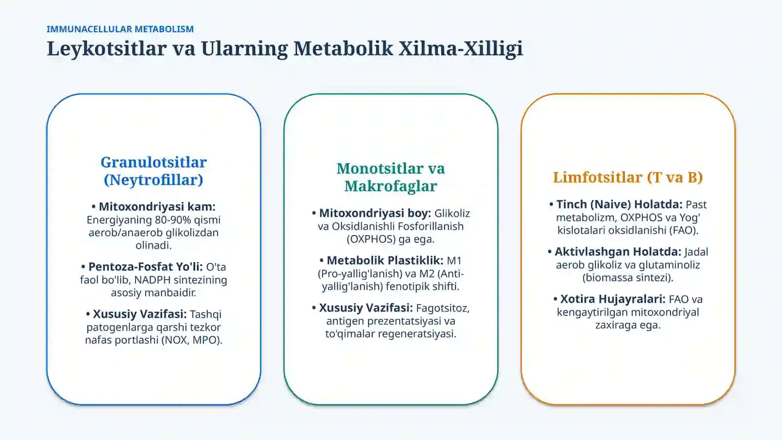 Leykotsitlar metabolizmi: asosiy xususiyatlari — 15 slayd 2