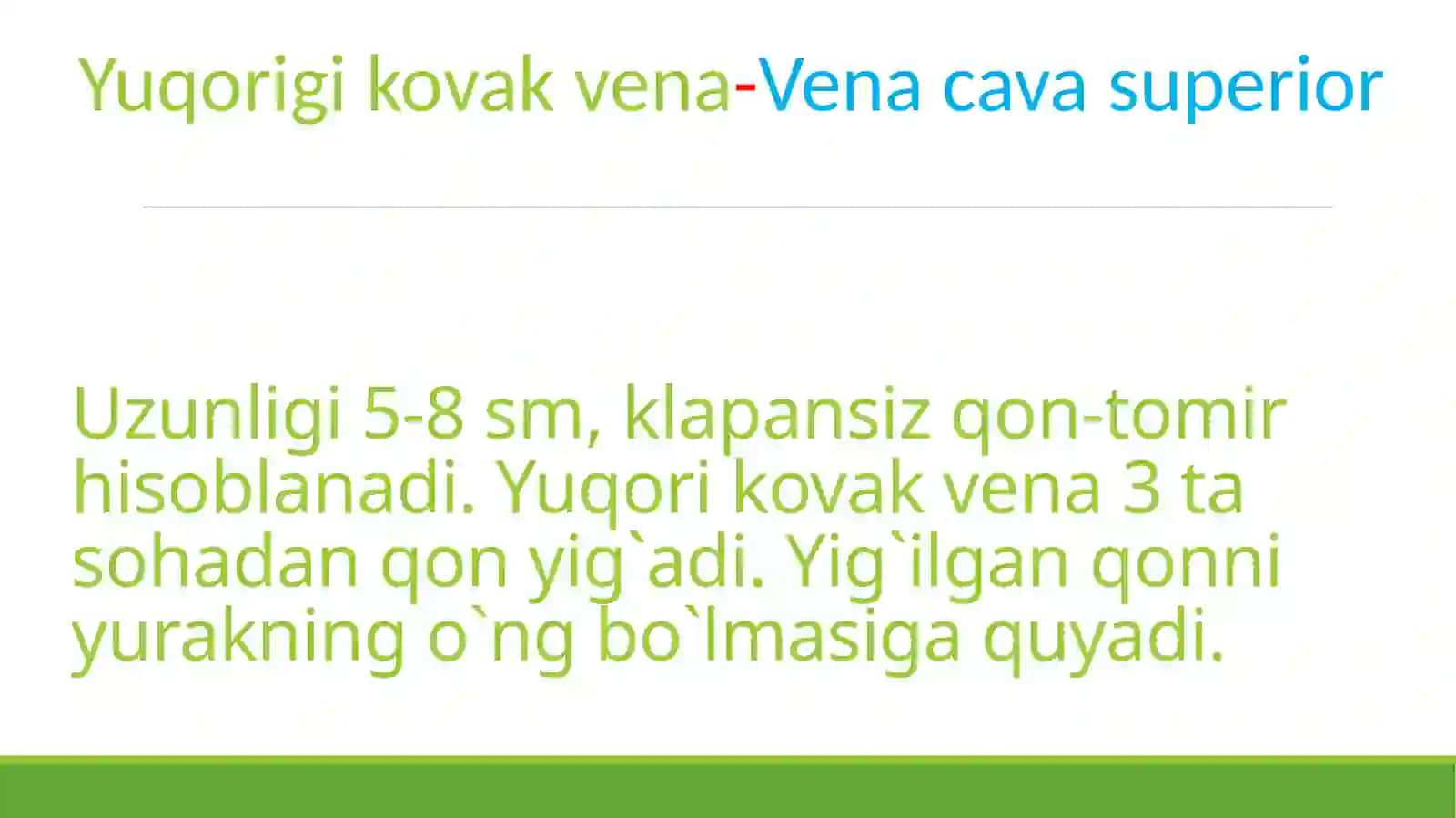 Yuqorigi kovak vena 2