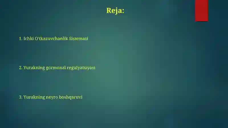 Yurak faoliyati 2