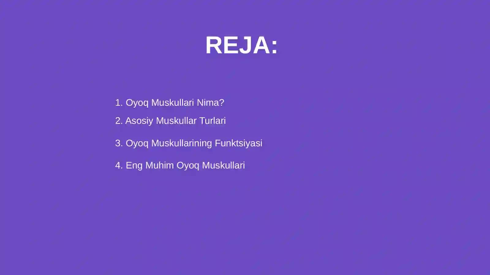 Oyoq muskullari 2
