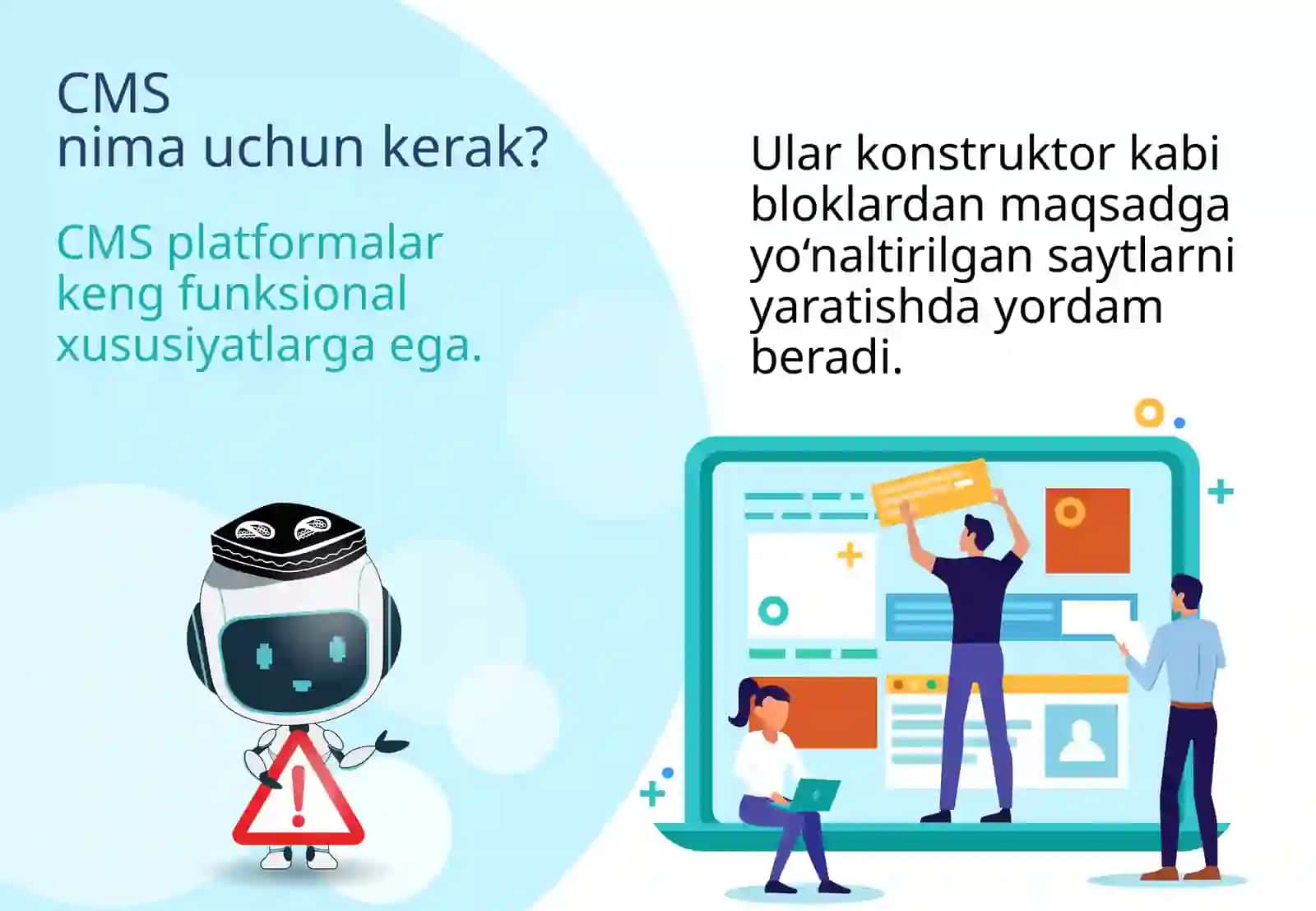 CMS platformalari 2