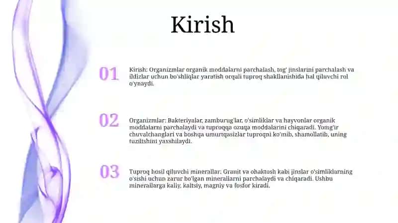 Organizmlar Va Tuproq Hosil Qiluvchi Jinslar 2