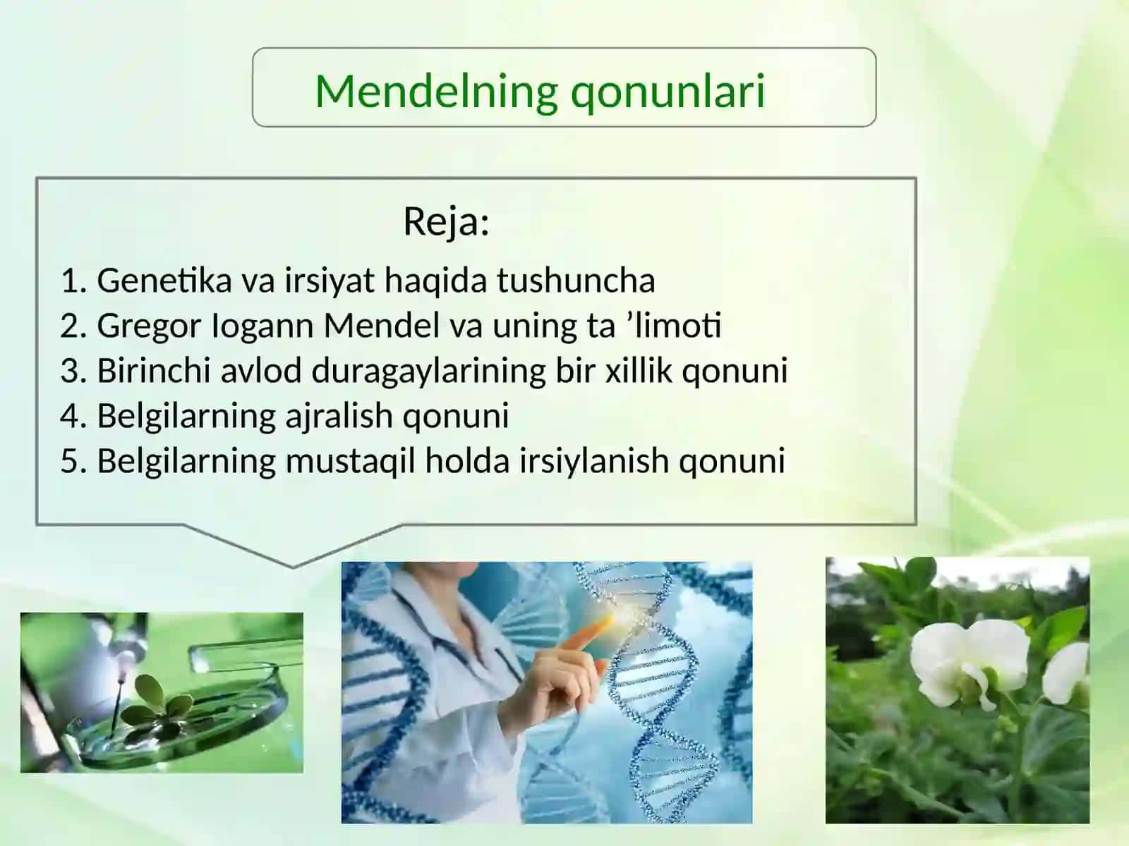 Mendelning qonunlari 2
