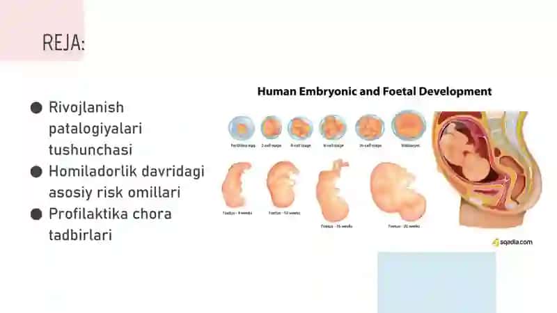 ONA QORNIDAGI RIVOJLANISH PATOLOGIYALARI 2