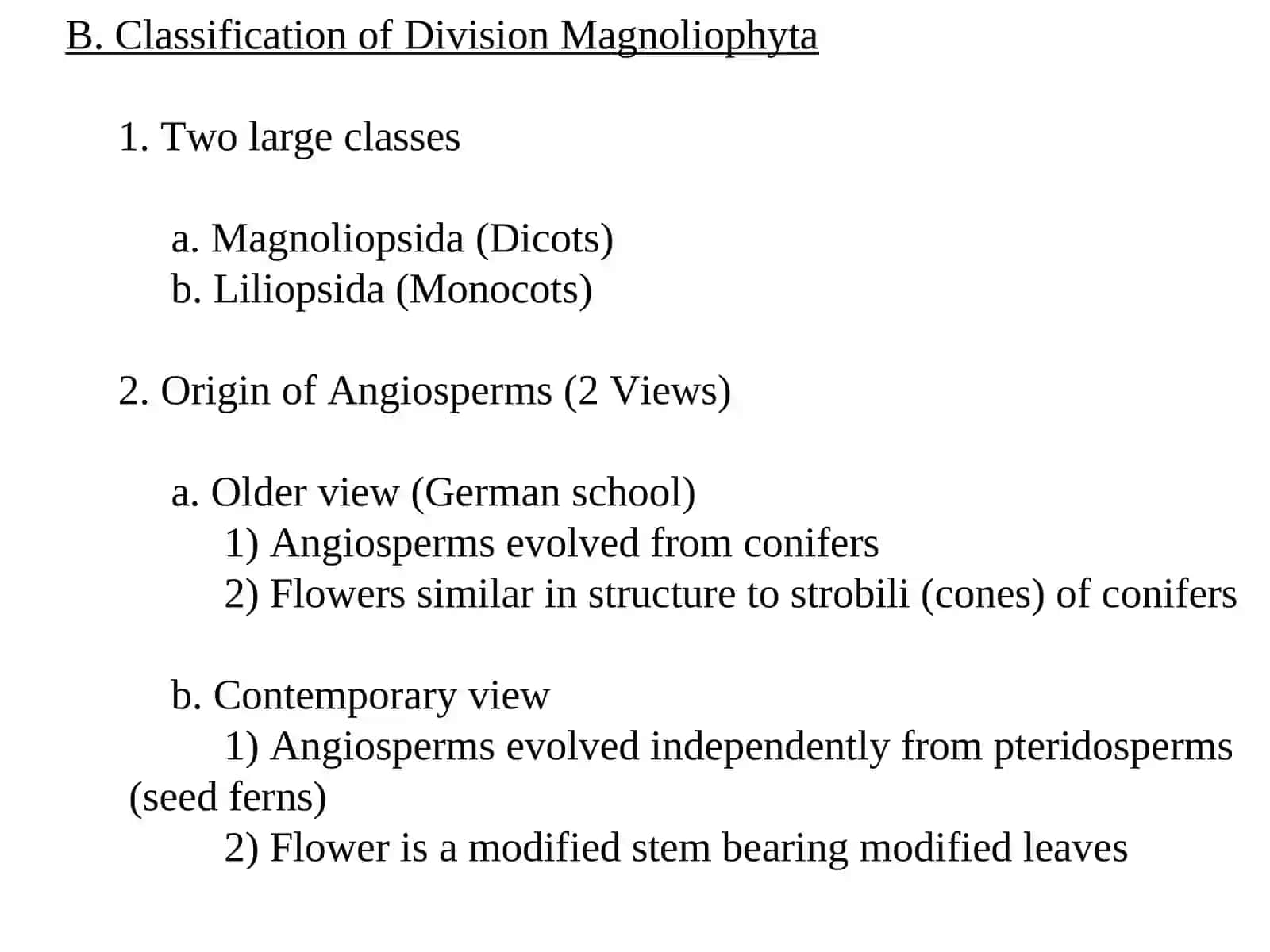 Angiosperms 2