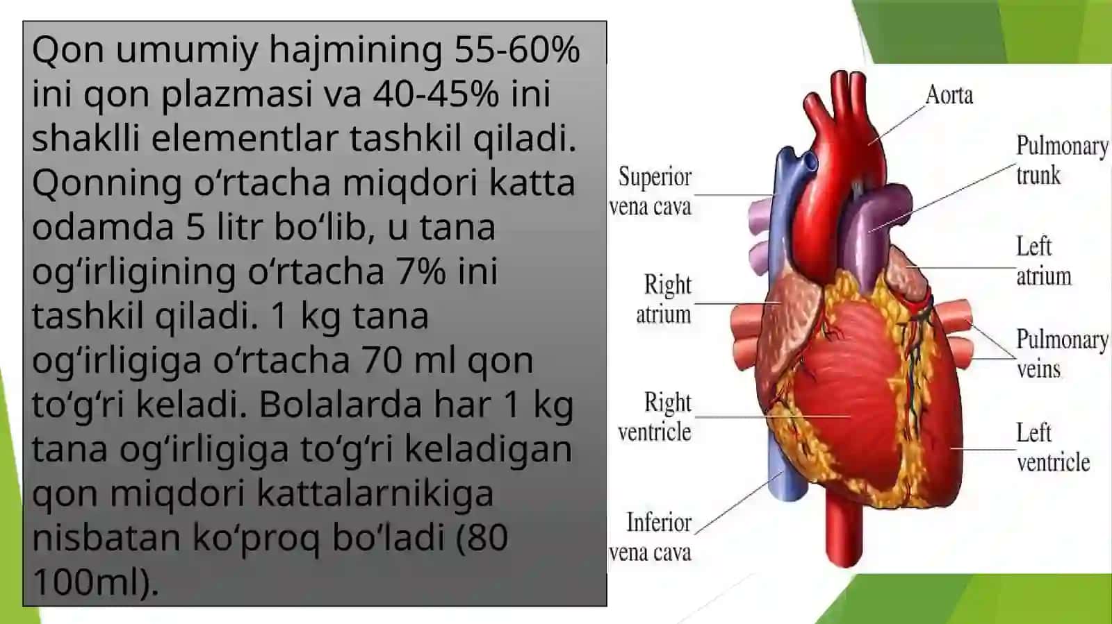 QON VA QON AYNALISH TIZIMLARINING YOSH HUSUSIYATLARI VA GIGIYENASI 2