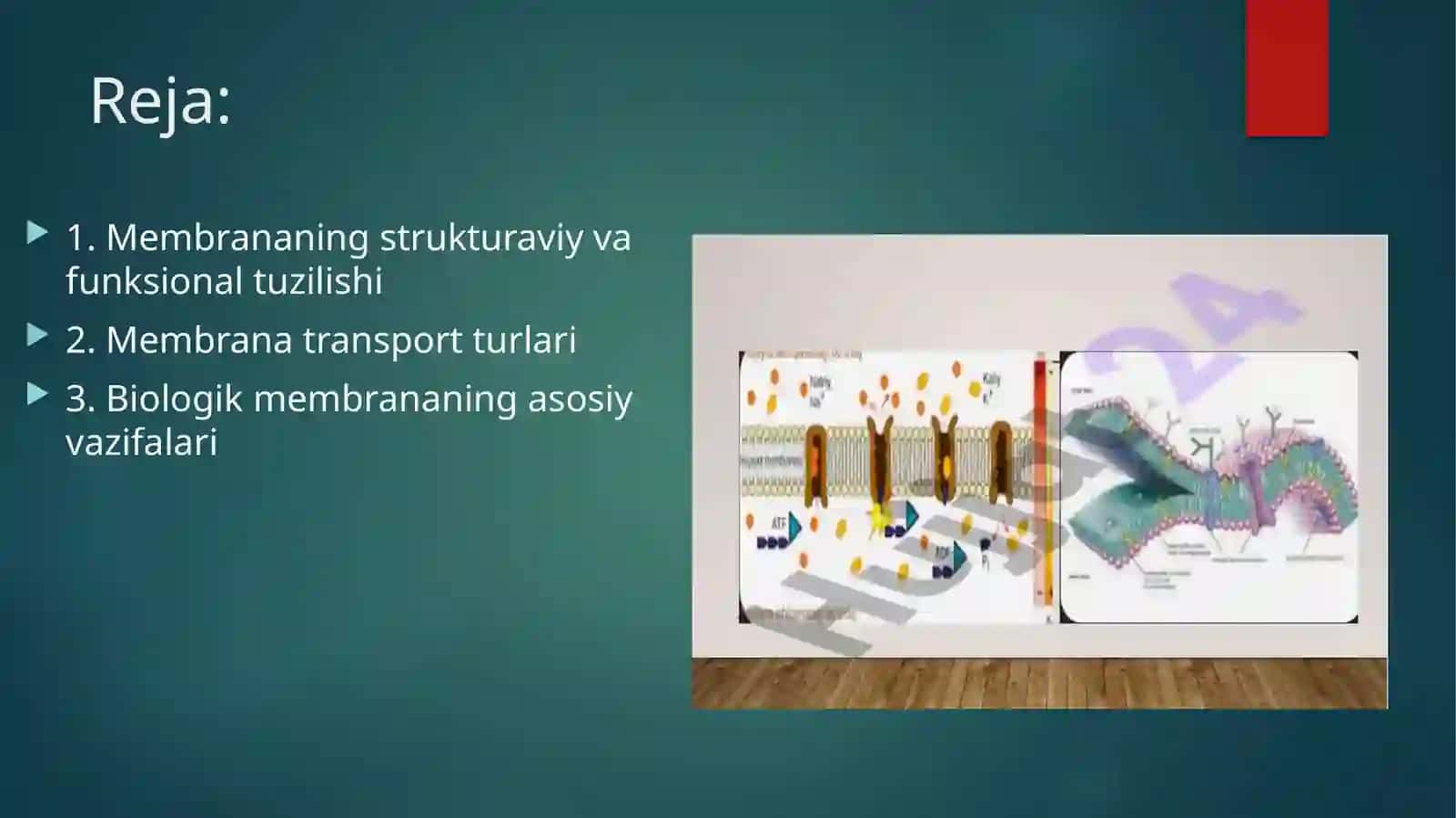 Biologik membranalardagi fizik jarayonlar. 2