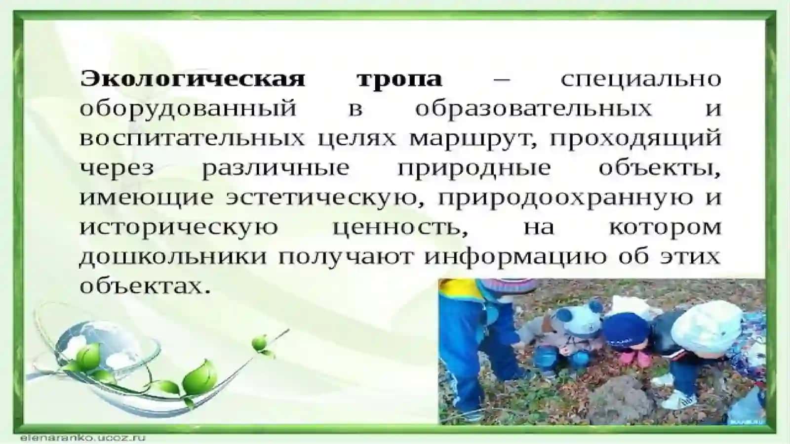 Экологическая тропа 2
