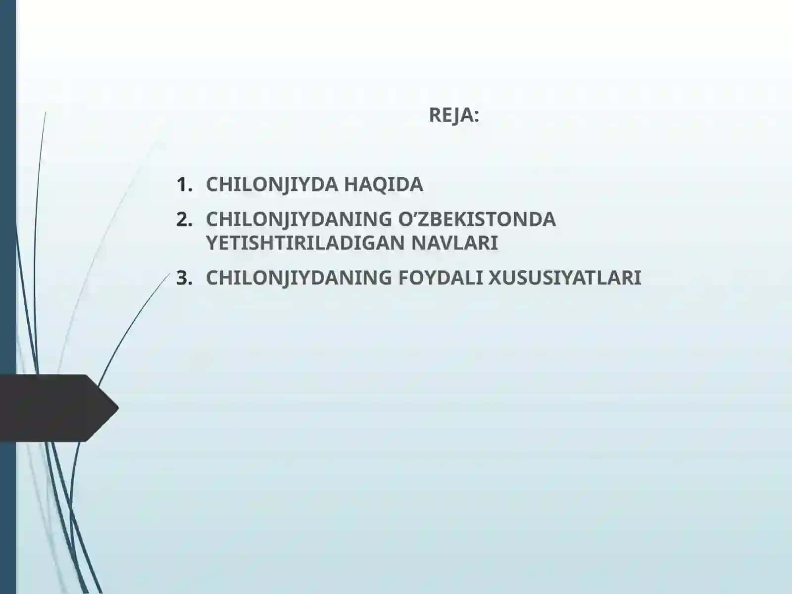 CHILONJIYDA 2