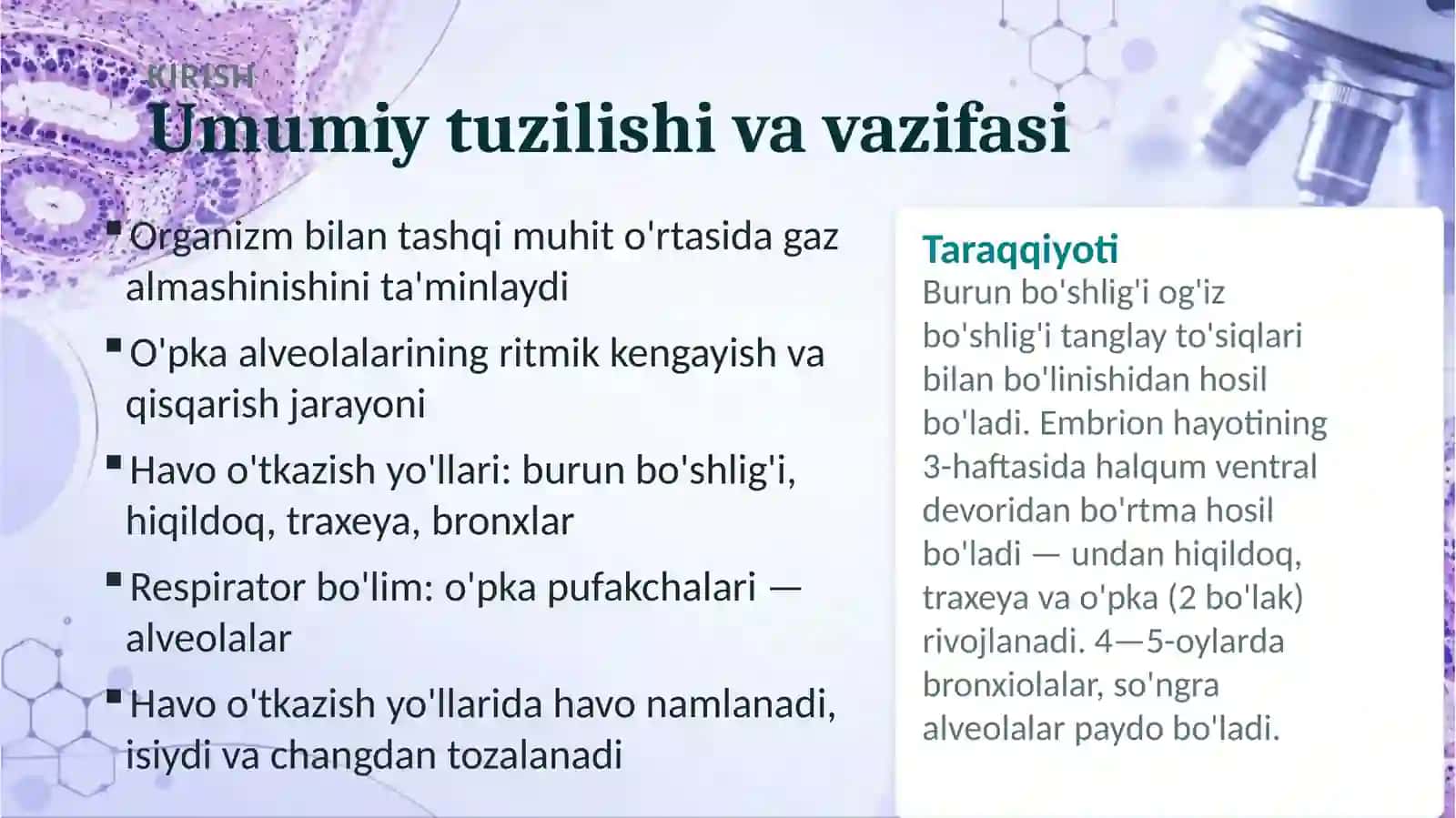 Nafas olish sistemasi 2